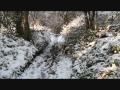 EDEN'S WINTER WONDERLAND.wmv
