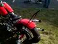 Shovelhead Bobber