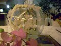 mariposa en burbuja con orquideas