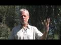 Guy Dauncey Video Endorsement