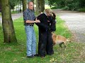 Irene aangevallen door politiehond