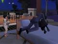 hackenslash TV: Love Among The Sims -- Scarred for Life