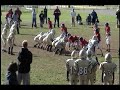 Josh 42yd run vs BW Red Nov7 09