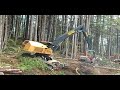 Tigercat LH870C with LogMax 12000 felling attachment