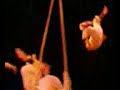 The Child at her Do-Jump performance (1 of 2)
