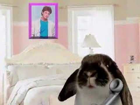 Bunny Critics