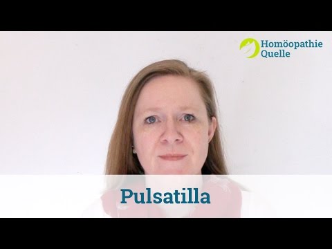 Pulsatilla Homöopathie: Anwendung und Wirkung