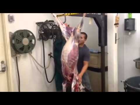 how to skin a deer