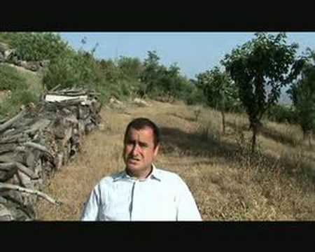 such as tariffs and quotas such as tariffs and quotas