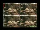pariopportunit�