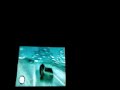 driving-mr-packie-drunk.html