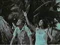 More Martin Denny Exotica