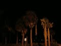 From the second and rare album Arte Novecento. I hope that you all enjoy this song as much as I do. We, in this blowing of time We lose our dreams as the trees give their leaves to the ground
