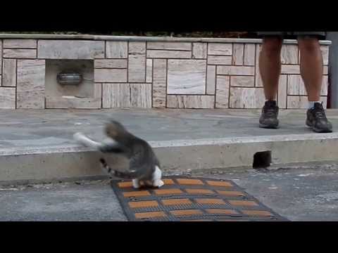 YouTube &ETH;&cent;&Ntilde;&ETH;&micro;&ETH;&sup1;&ETH;&raquo;&ETH;&micro;&Ntilde;