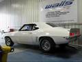 Dyno-Day-2-Manitoba-