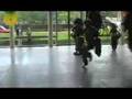 Danza guerrera Mexica