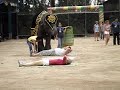 crzay elephant فيل مهستر