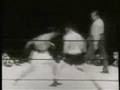 Rocky Marciano Tribute