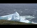 Icebergs Petermann Ice Island in the Background