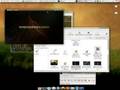Ubuntu + XGL +Compiz