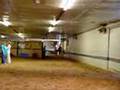 Betsy Webb Stables Spring Fling Tournament Clip