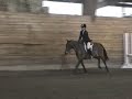 Chagrin Valley Farms Hunter Show