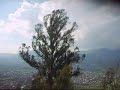 Teleférico y Virgen del Cerro Teleférico y Virgen del Cerro