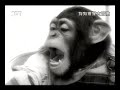 �p�e���d�ˬd-���g