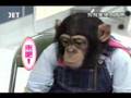 小龐健康檢查