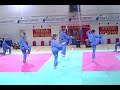 Esibizione Serale del Vo Duong Gorla