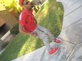 FTZ - eYe oF tHe TiGeR - I'm Dope - Murdered It