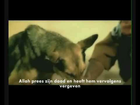 YouTube voorvertoningsafbeelding