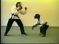 Kong Fu