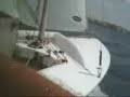 Sailing in snipe Sailing in snipe