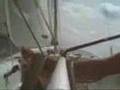 Sailing in snipe
