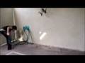 videos de pollis juega tennis