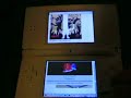 Longcat Nintendo DS
