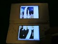 Longcat Nintendo DS