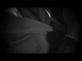 Trailer Segurilla III