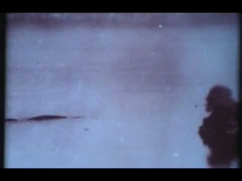 Nessie - Is the Loch Ness monster real?