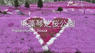 Hokkaido Higashimokoto Park Shibazakura