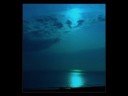 Mircea Mondialul - Mi-ai luat inima Manele-Gratis.net