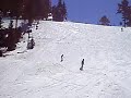 shredding the gnar shredding the gnar