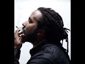 Ky-Mani Marley New Heights