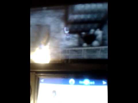 how to get noibat in pokemon y