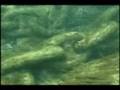 Conestoga Ship Wreck Diving 2008