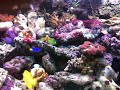 IMG 0003