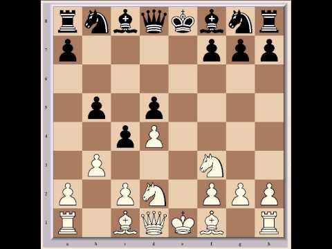 magnus carlsen
