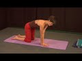 Yoga Warm Up Exercises : Yoga Downward Dog Pose