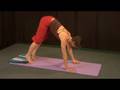 Yoga Warm Up Exercises : Yoga Downward Dog Pose